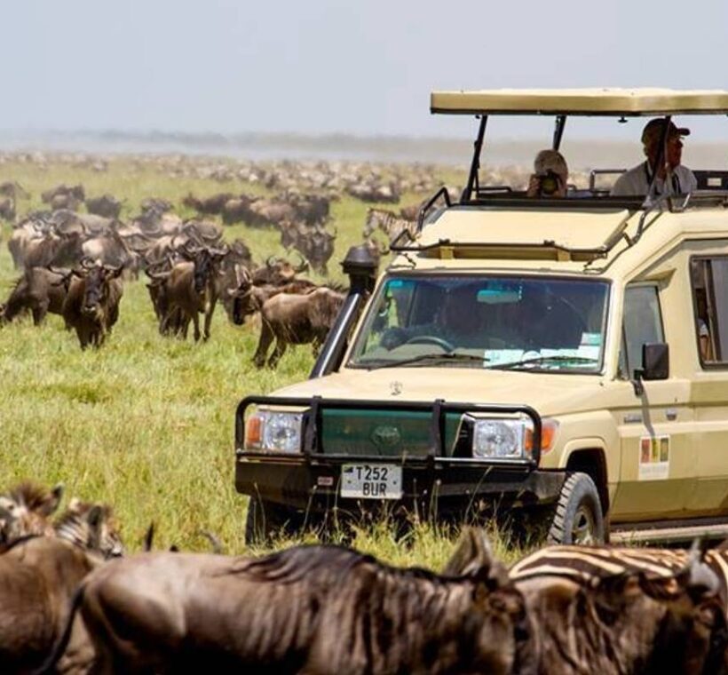 Kenya Safari