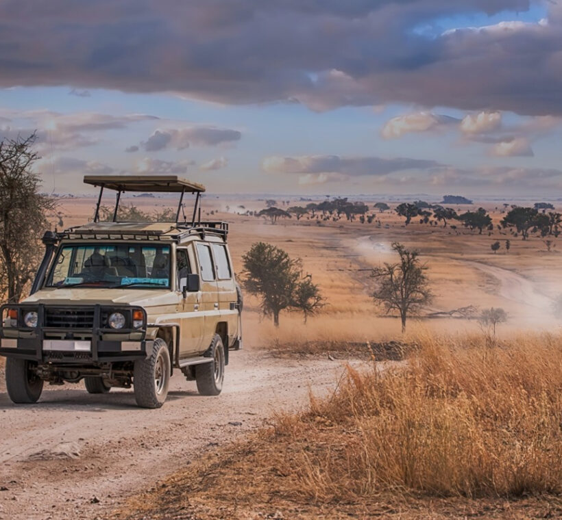 Tanzania Safari Vacation